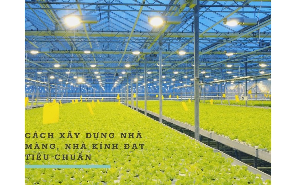 c&aacute;ch x&acirc;y dựng nh&agrave; m&agrave;ng, nh&agrave; k&iacute;nh đạt ti&ecirc;u chuẩn